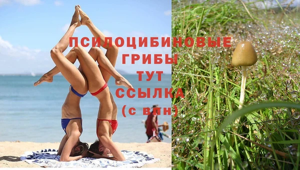 mdpv Алексеевка