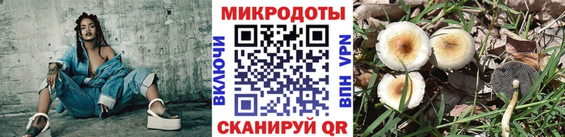 Псилоцибиновые грибы Magic Shrooms  OMG сайт  Каменногорск 
